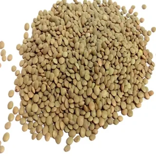 عدس ریز فله ای