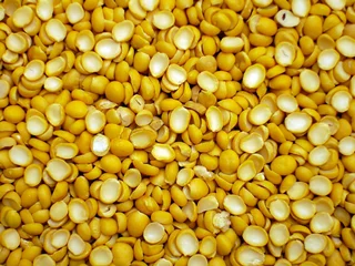 لپه آذرشهرفله